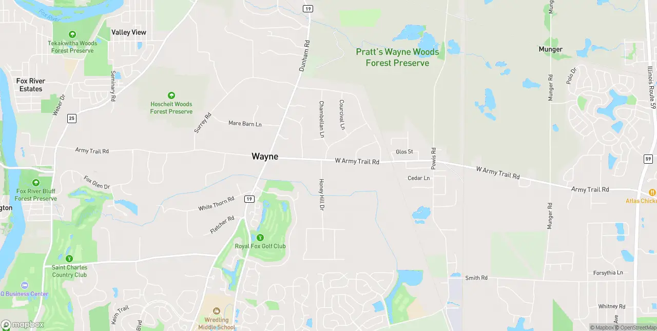 Internet in Wayne