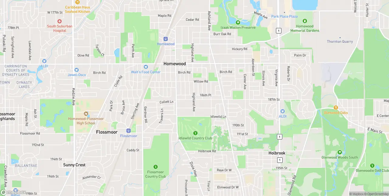 Internet in Homewood