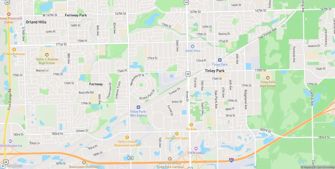 Internet in Tinley Park