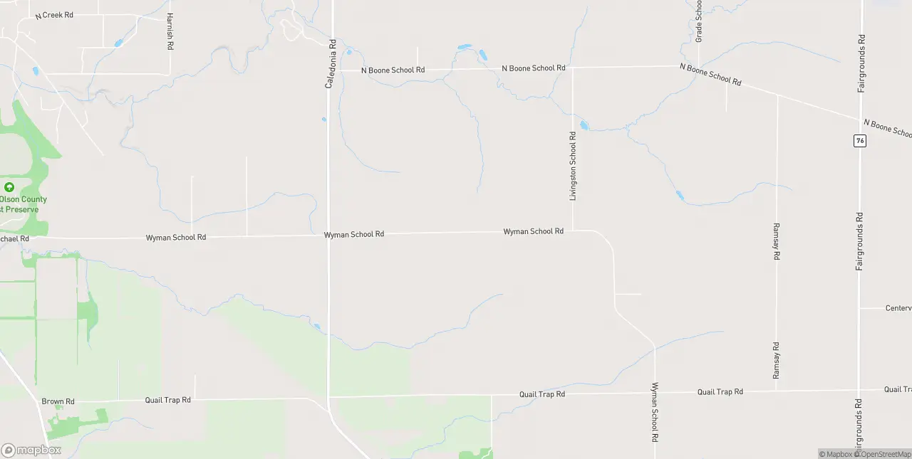 Internet in Caledonia