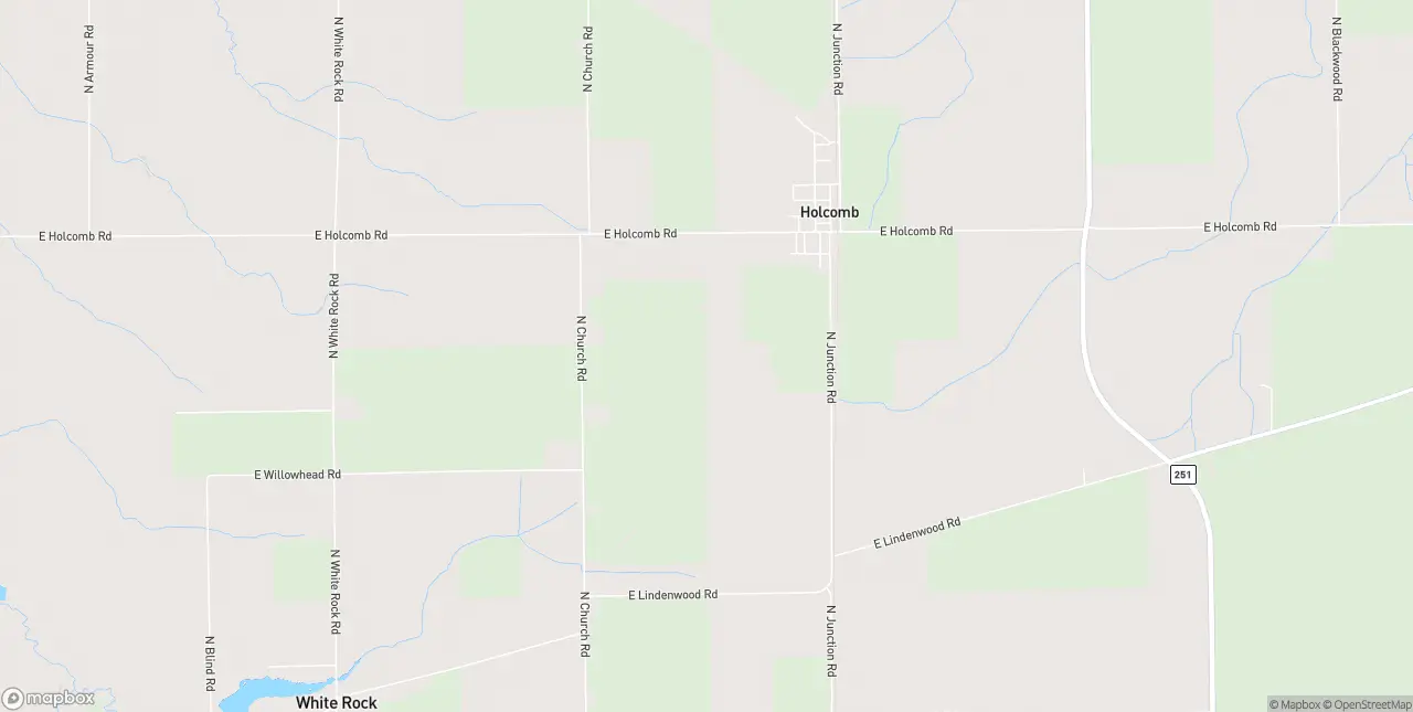 Internet in Holcomb