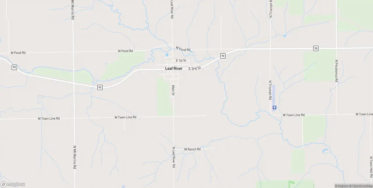 Internet in Leaf River