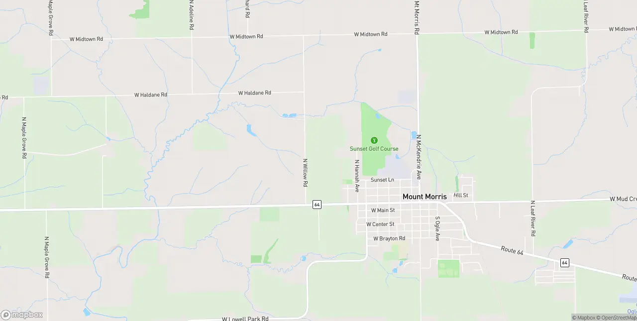 Internet in Mount Morris