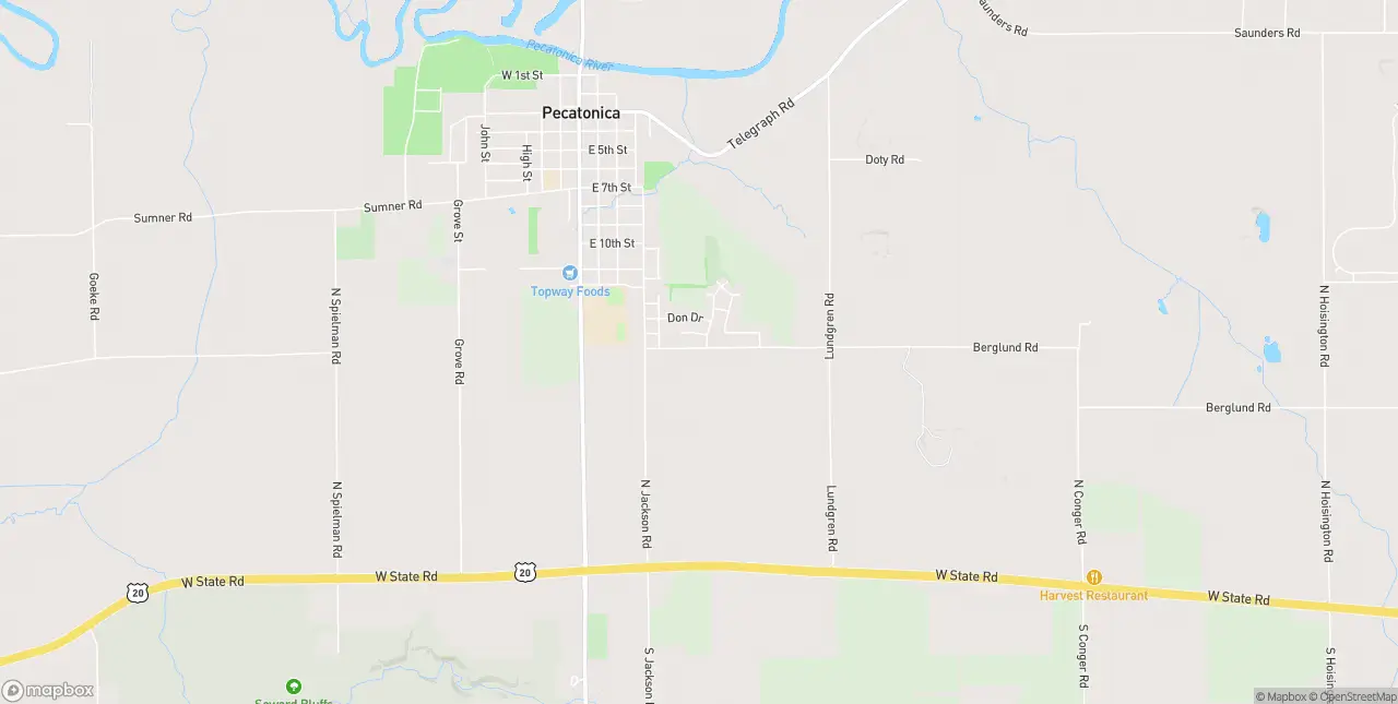 Internet in Pecatonica