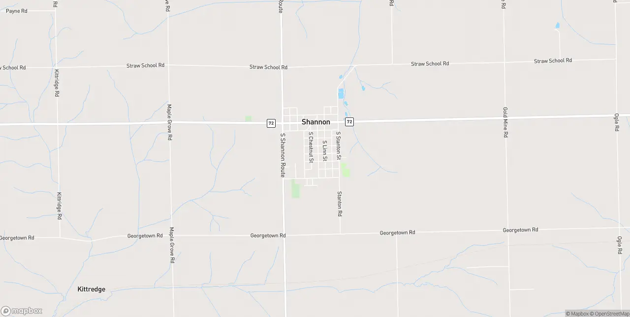 Internet in Shannon