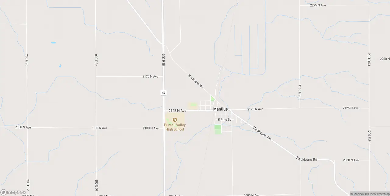Internet in Manlius