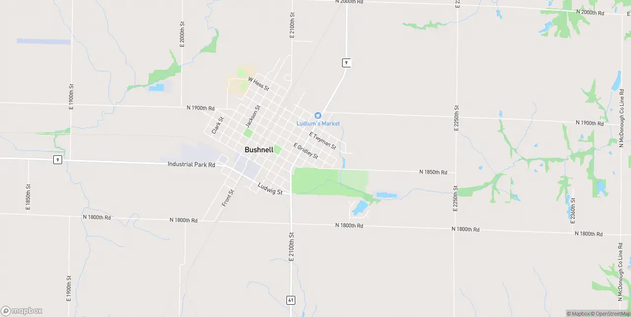 Internet in Bushnell