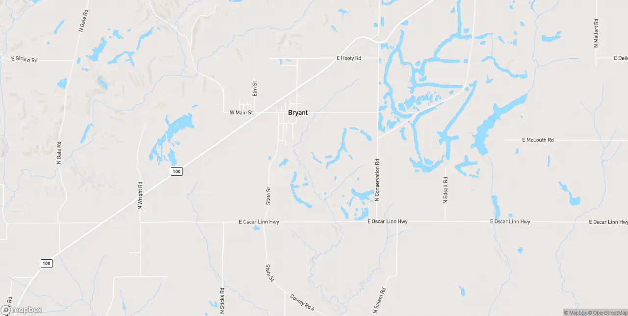 Internet in Bryant