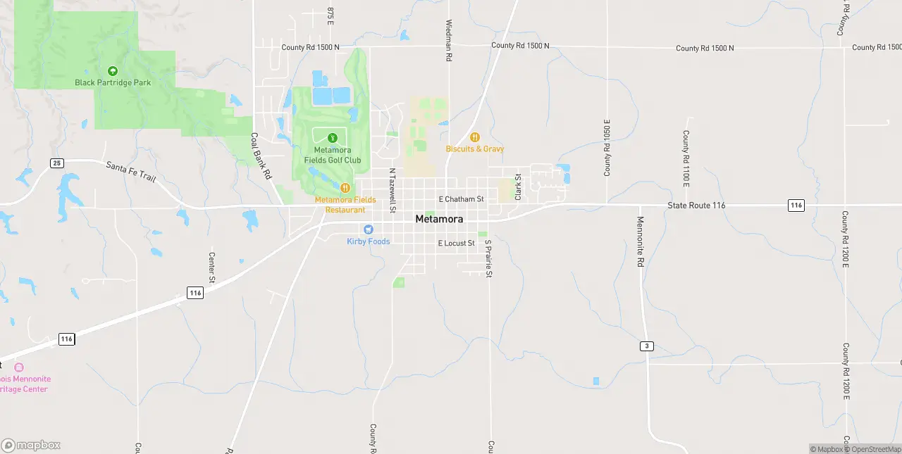 Internet in Metamora