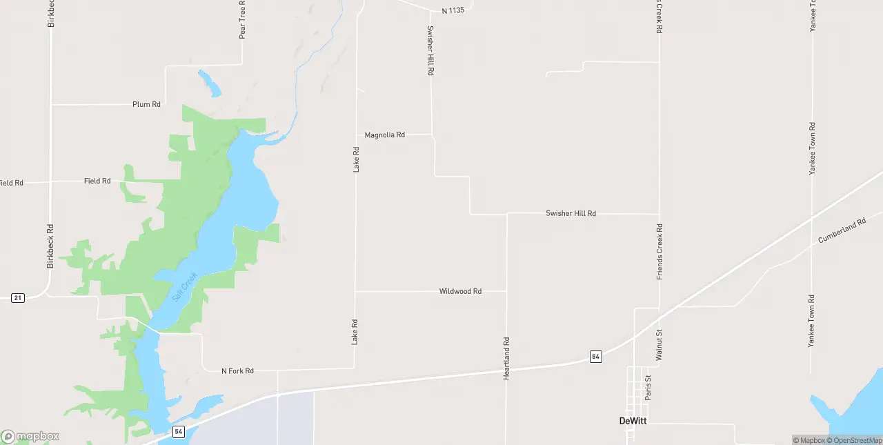 Internet in Dewitt
