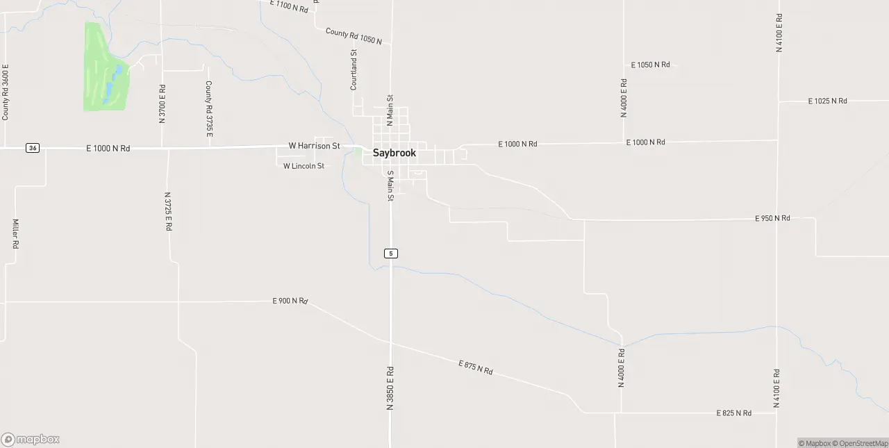 Internet in Saybrook