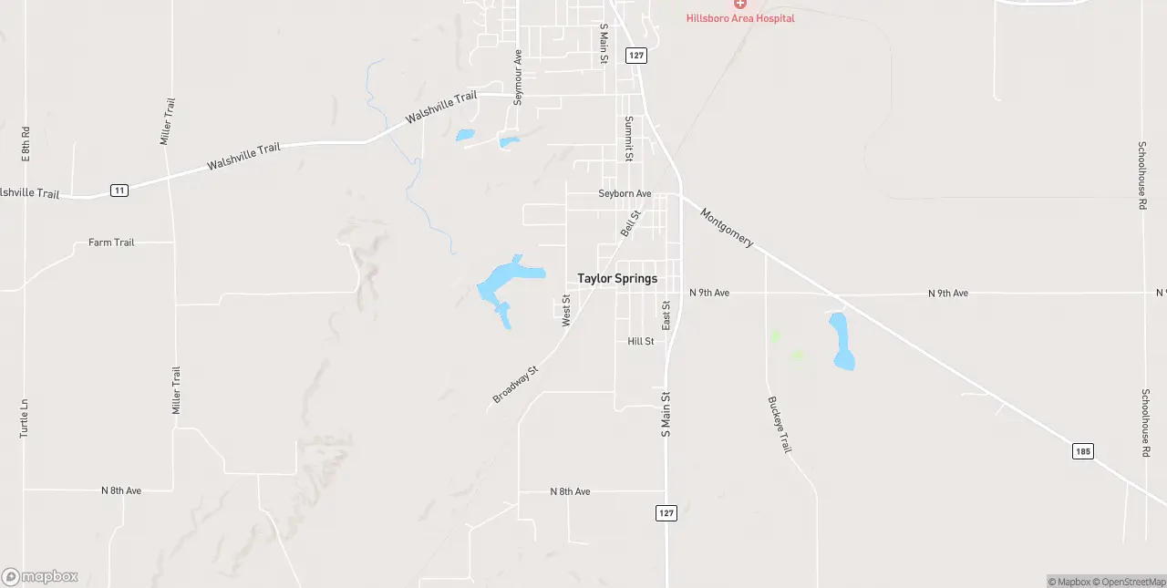 Internet in Taylor Springs