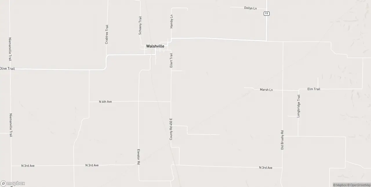 Internet in Walshville