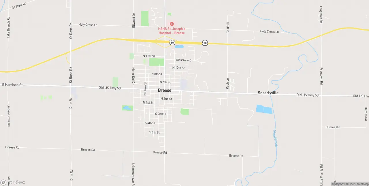 Internet in Breese