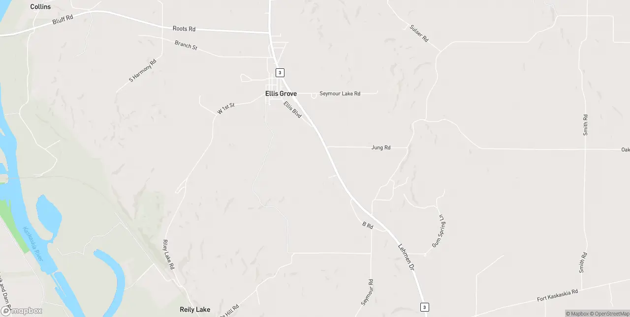 Internet in Ellis Grove