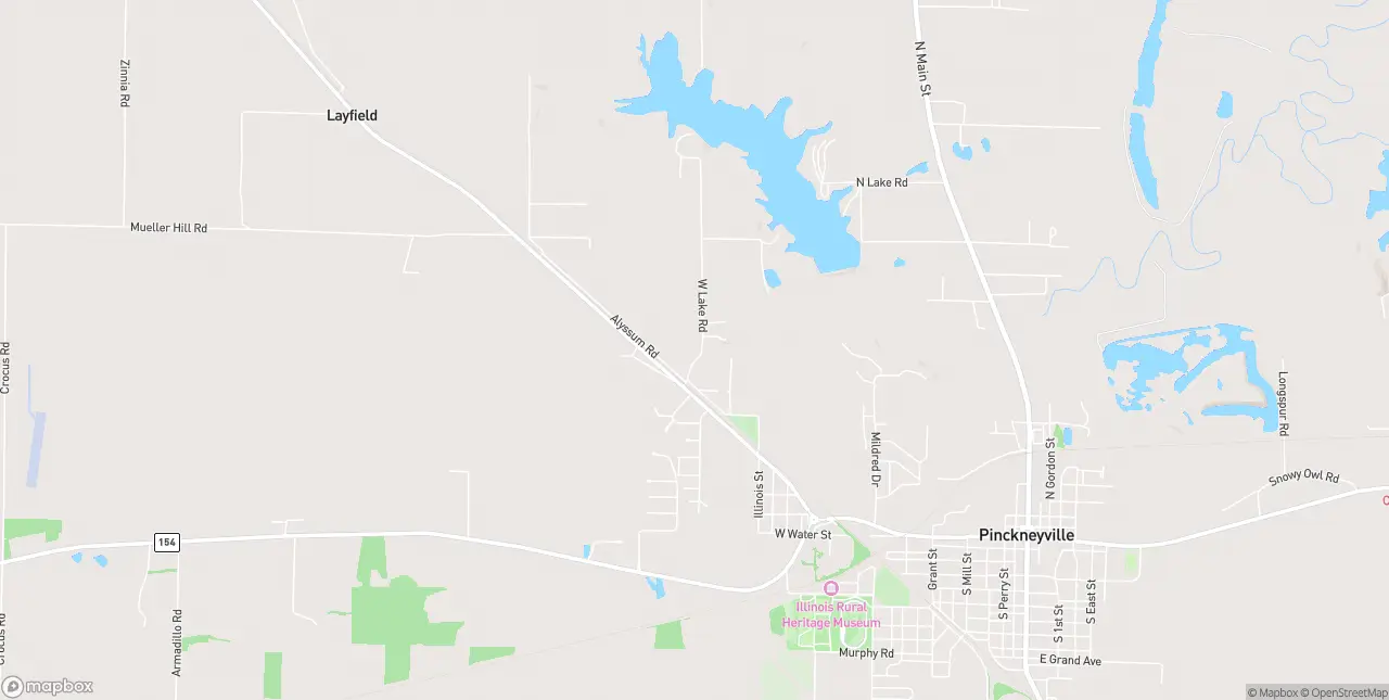 Internet in Pinckneyville