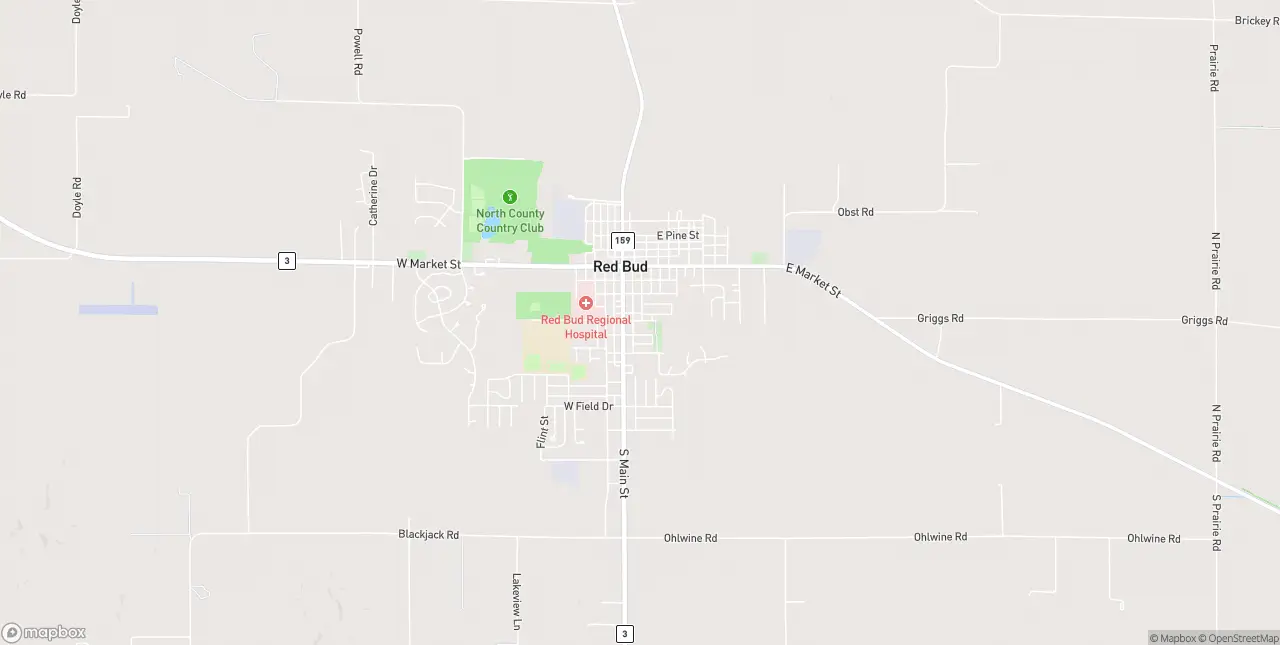 Internet in Red Bud