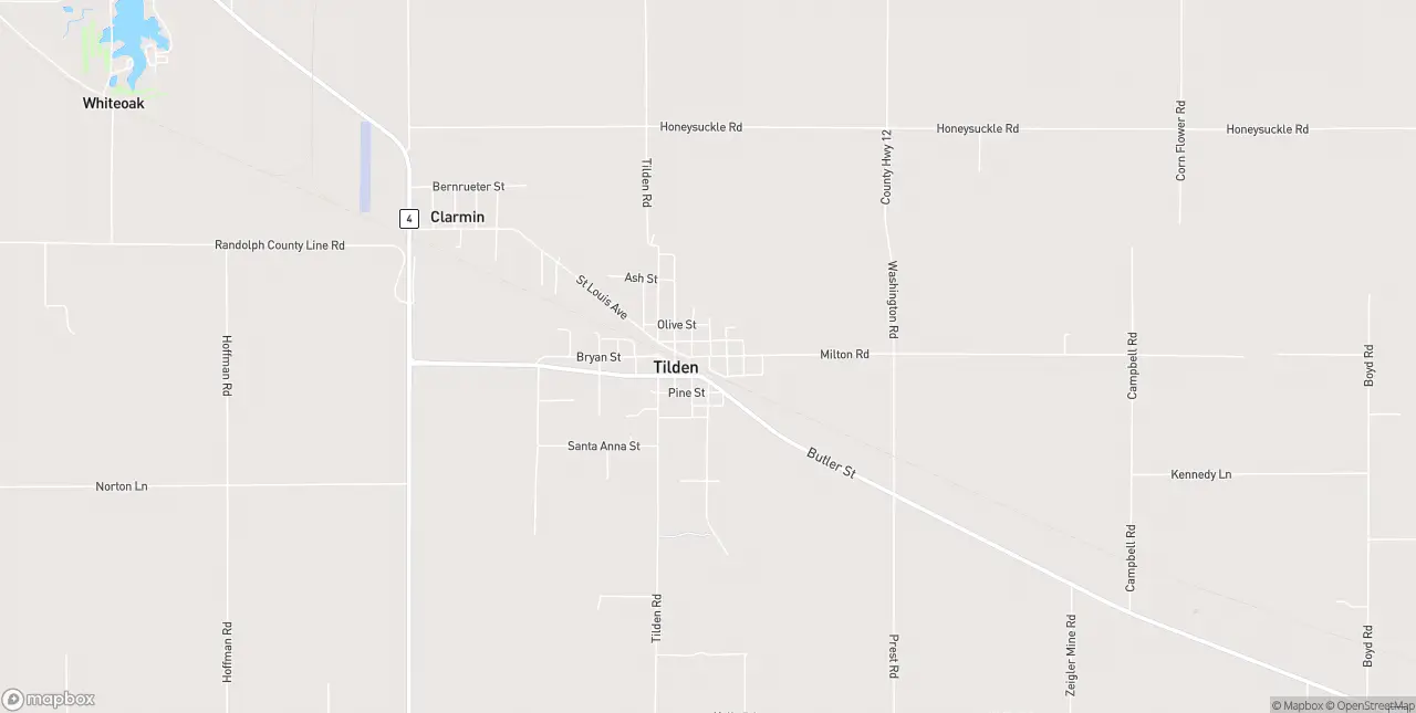 Internet in Tilden
