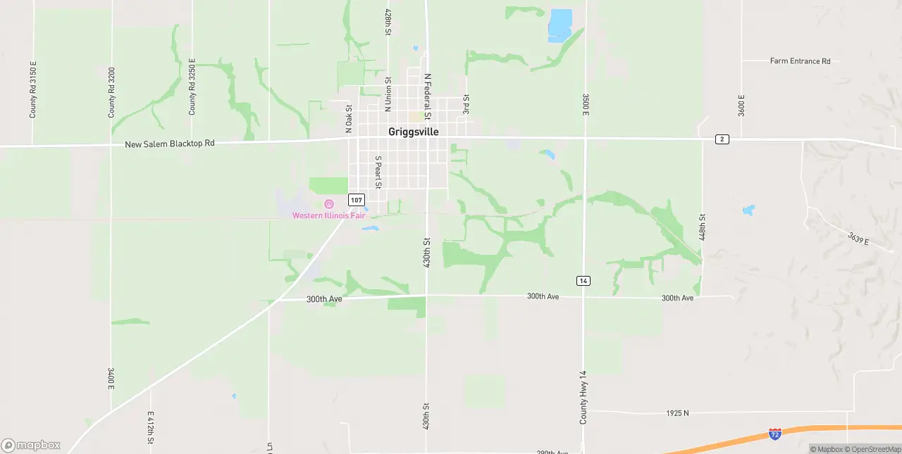 Internet in Griggsville