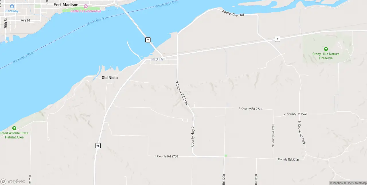 Internet in Niota