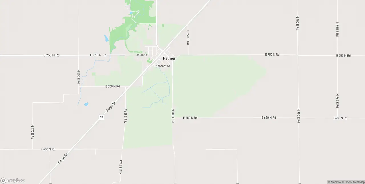Internet in Palmer