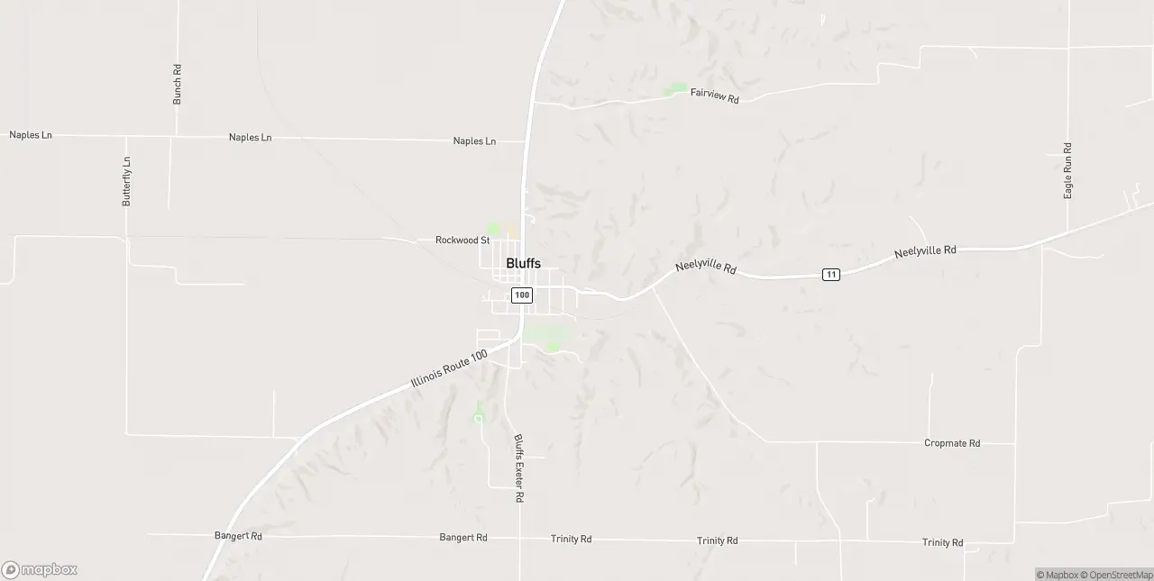 Internet in Bluffs