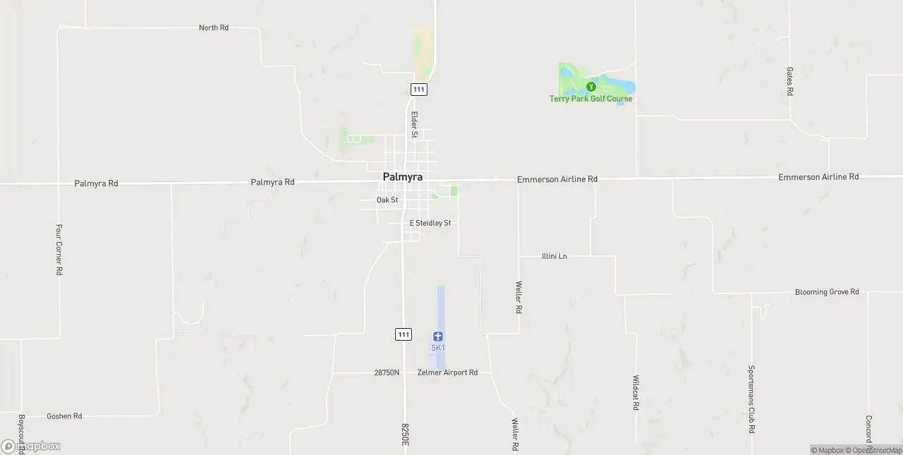 Internet in Palmyra