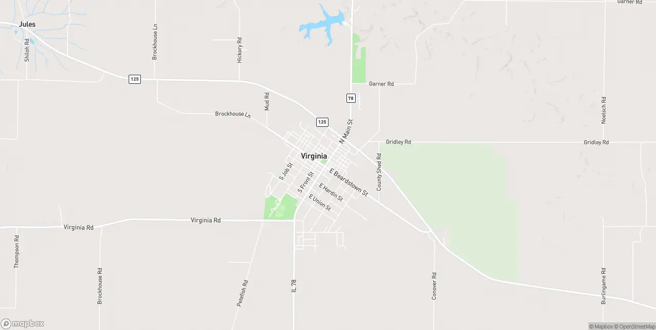 Internet in Virginia