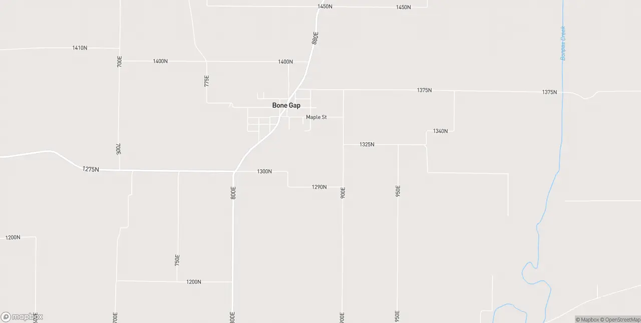 Internet in Bone Gap