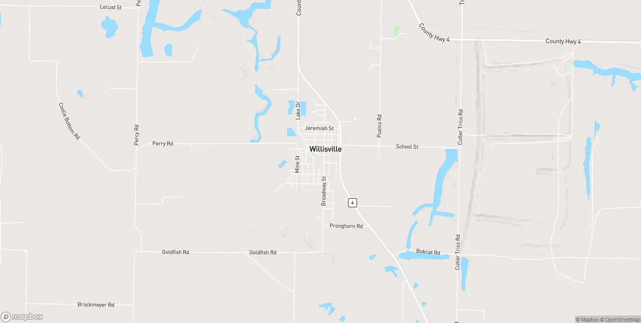 Internet in Willisville