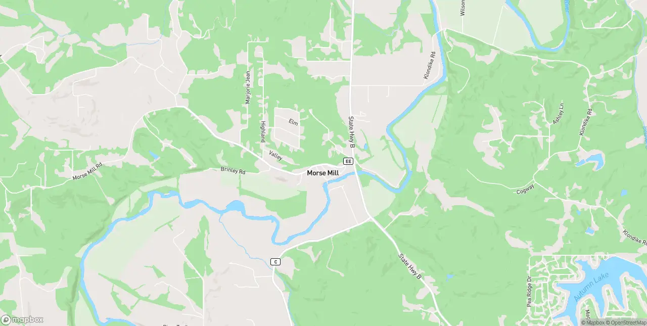 Internet in Morse Mill
