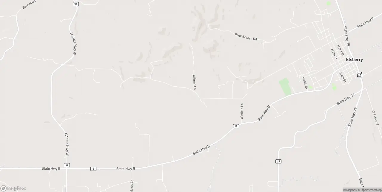 Internet in Elsberry