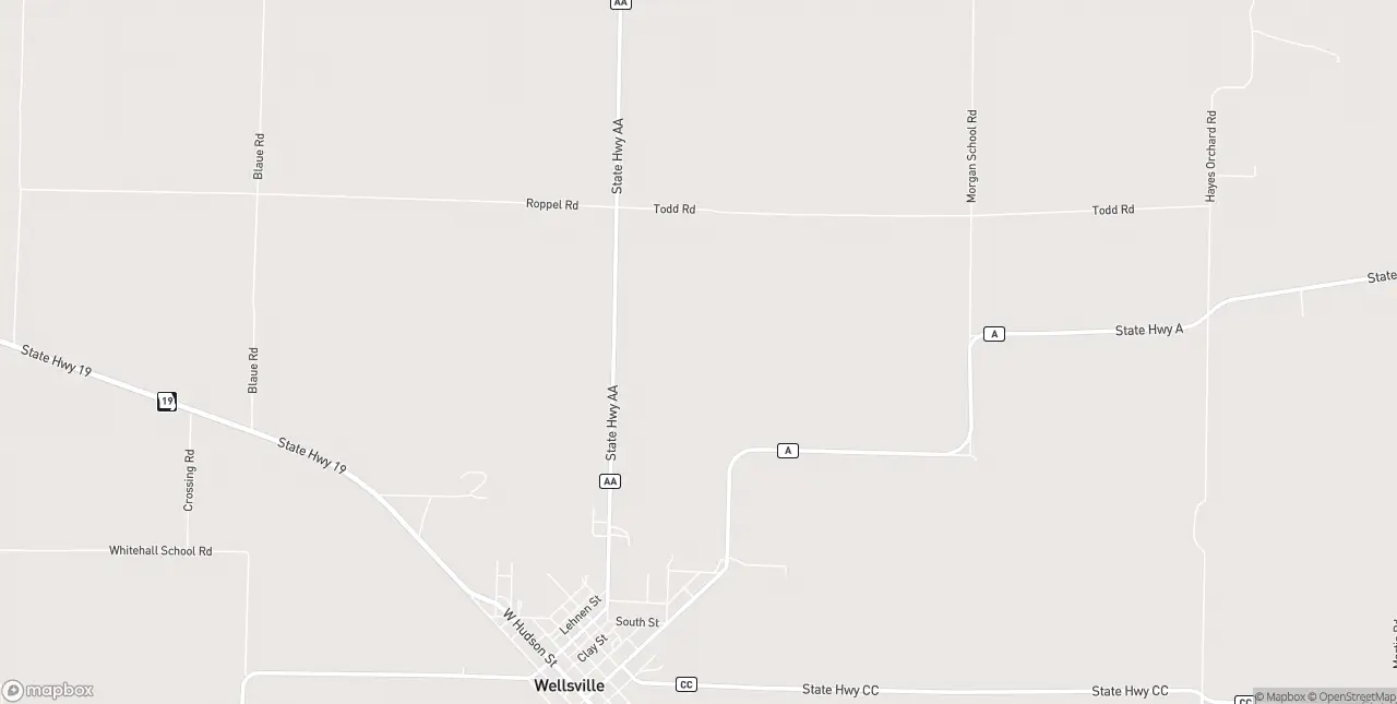 Internet in Wellsville
