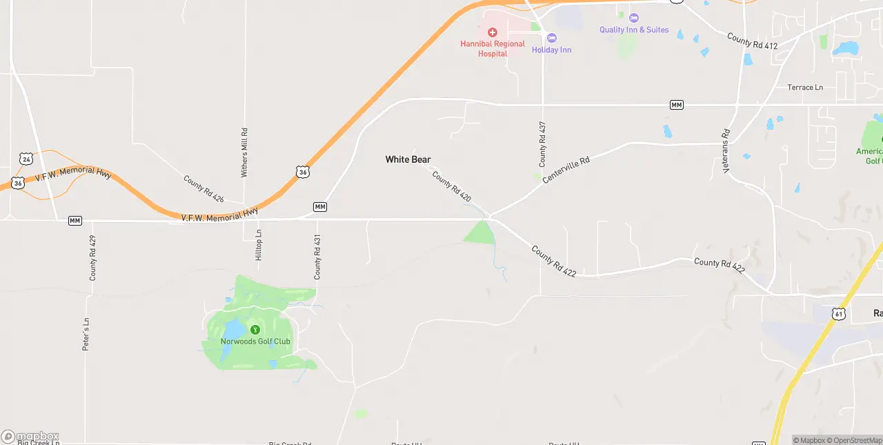 Internet in Hannibal