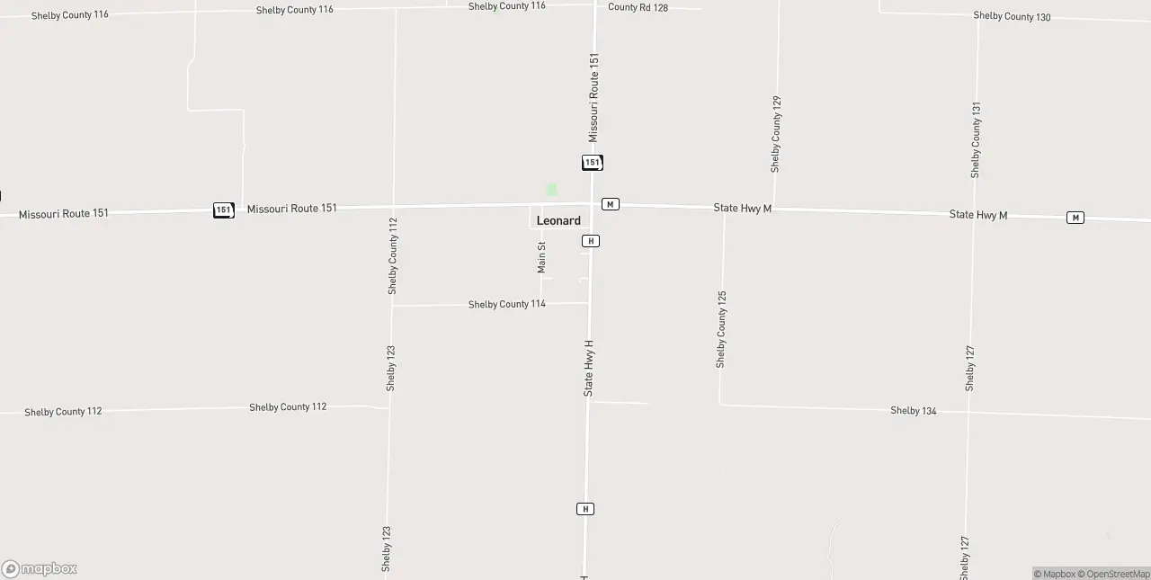 Internet in Leonard