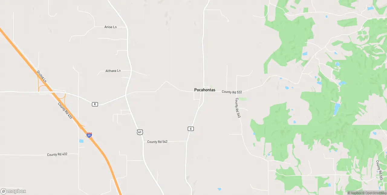 Internet in Pocahontas
