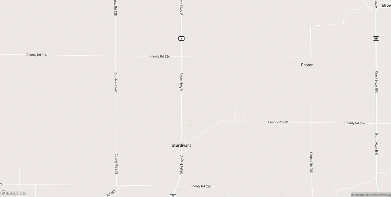 Internet in Sturdivant