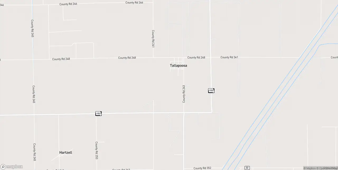 Internet in Tallapoosa