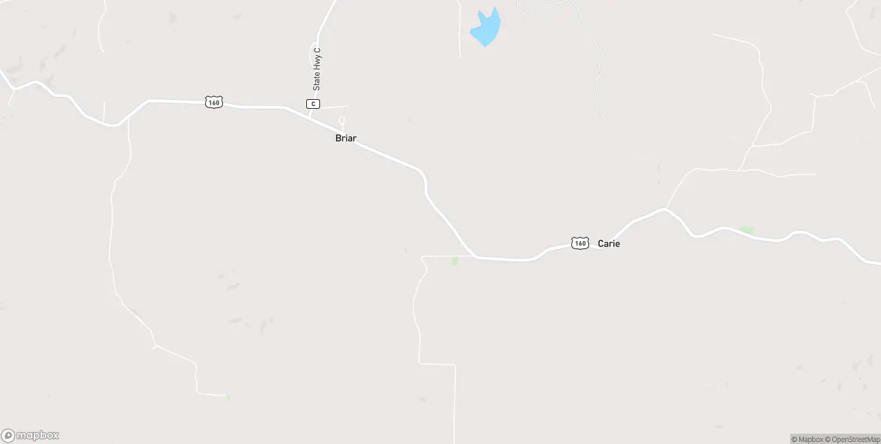 Internet in Briar