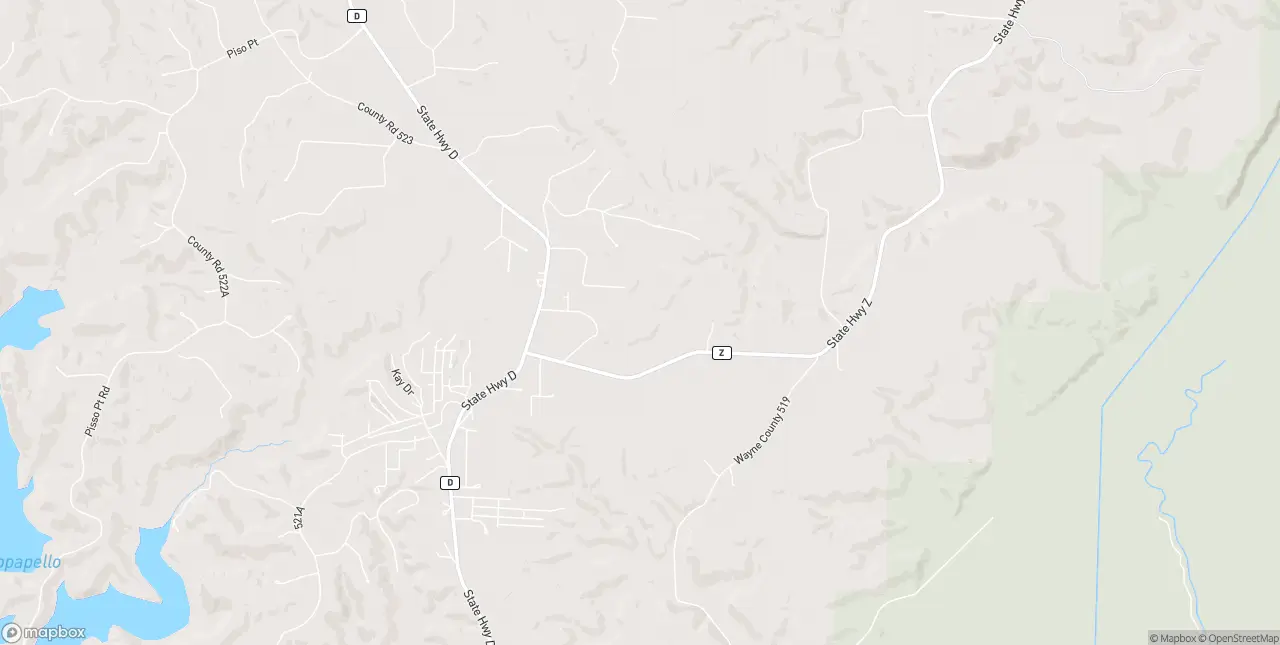 Internet in Wappapello