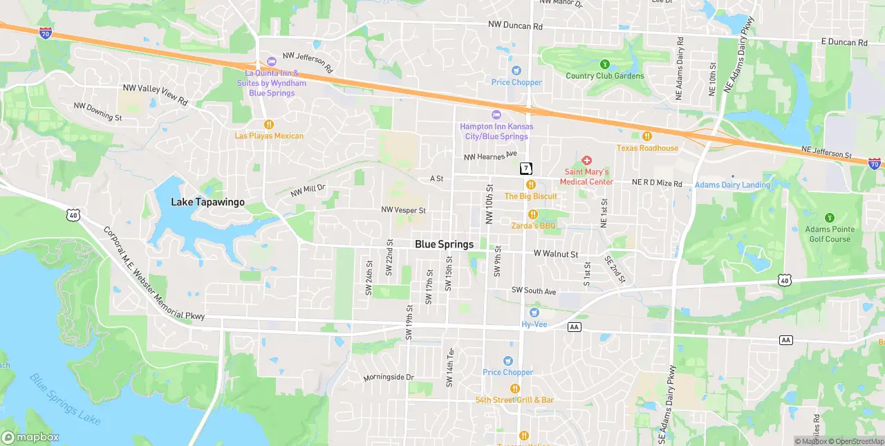 Internet in Blue Springs