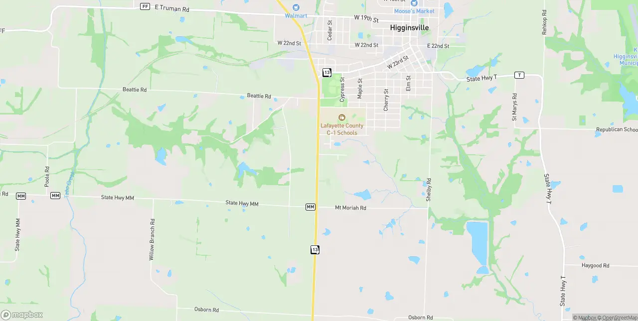 Internet in Higginsville