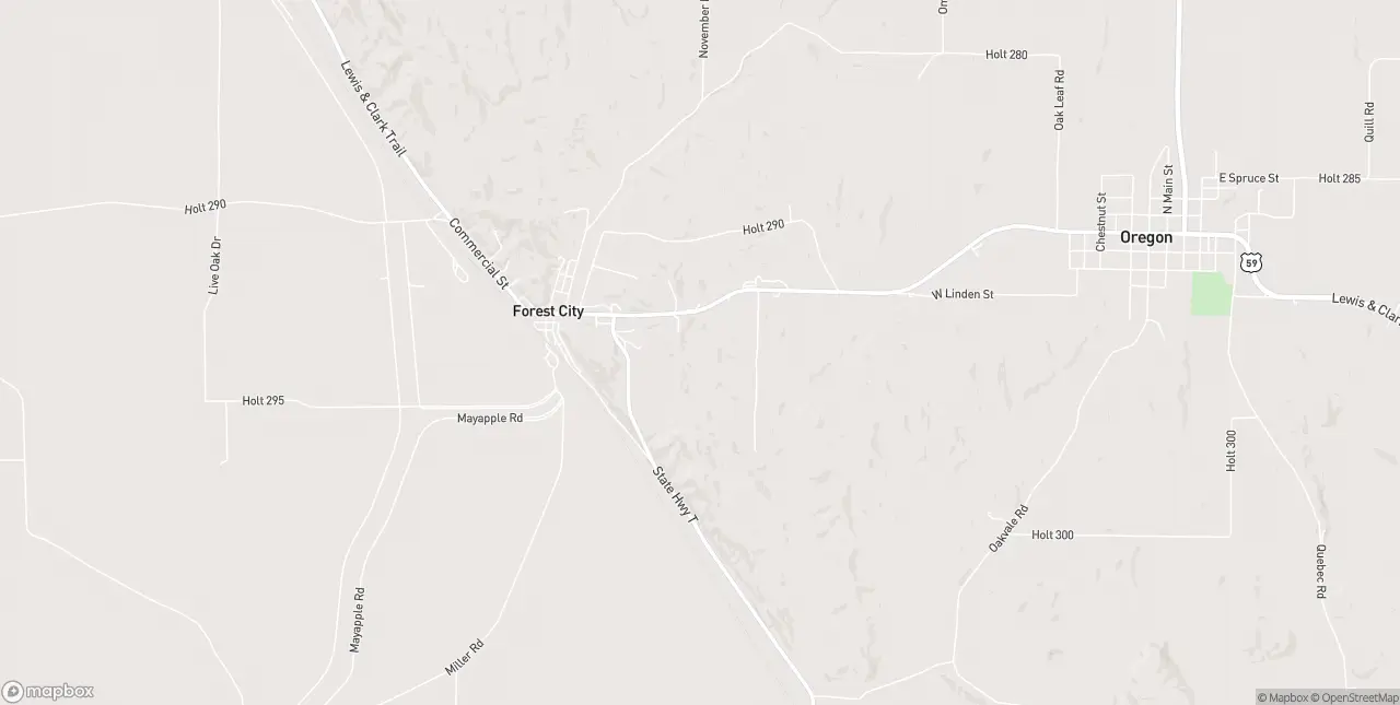 Internet in Forest City