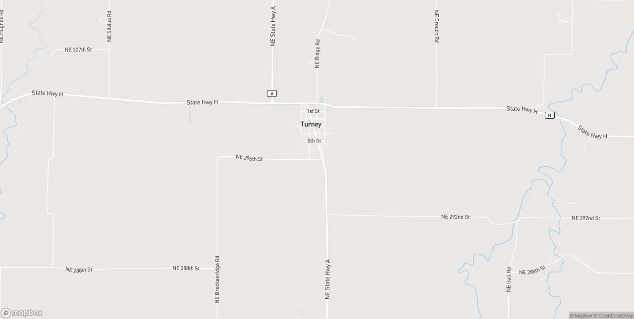 Internet in Turney