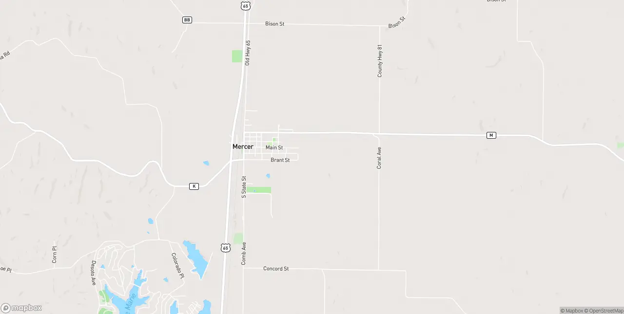 Internet in Mercer