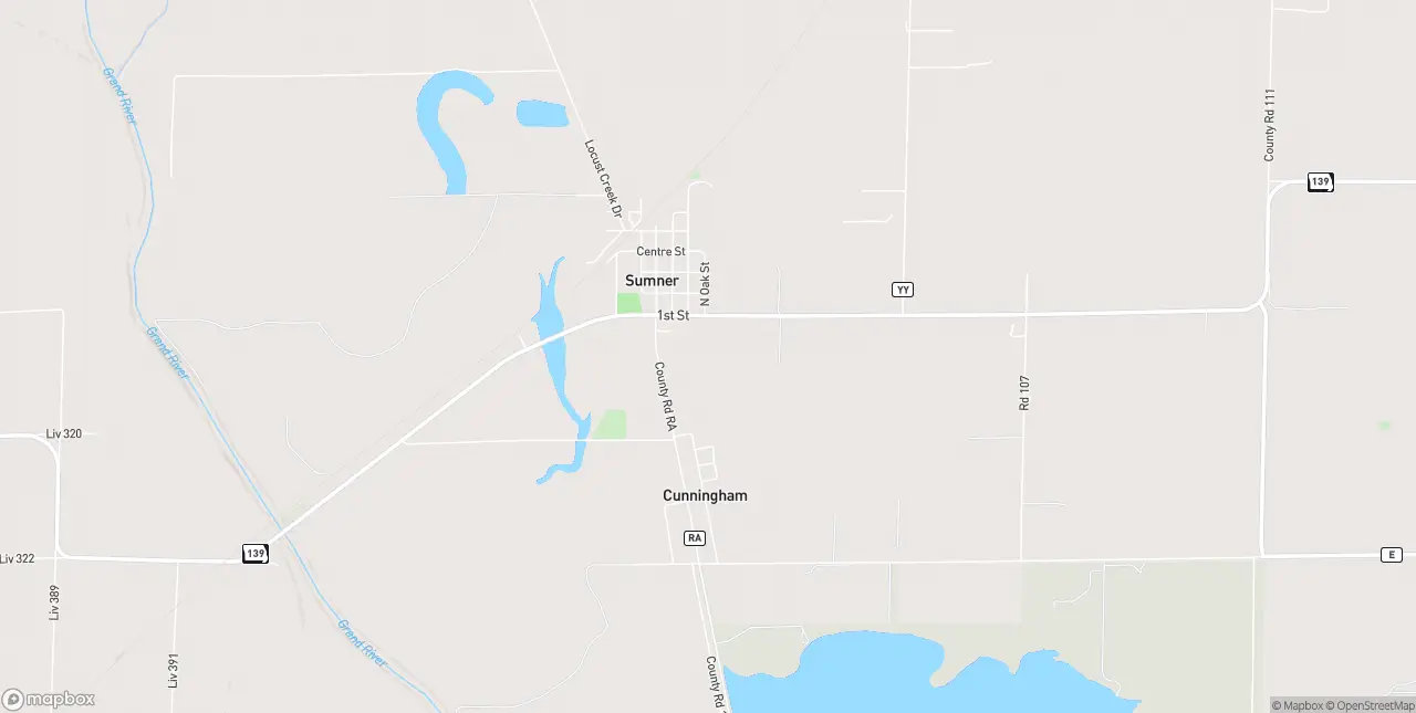 Internet in Sumner