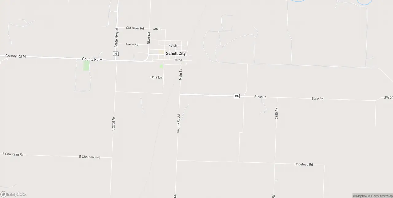 Internet in Schell City