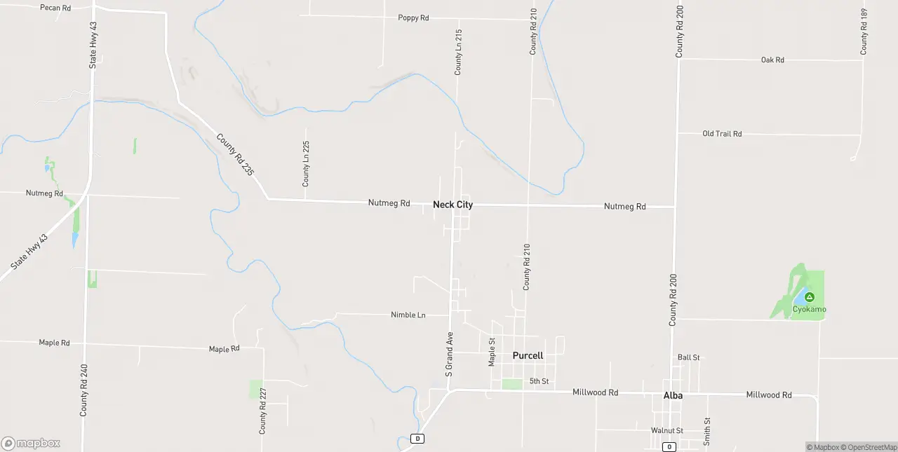 Internet in Neck City