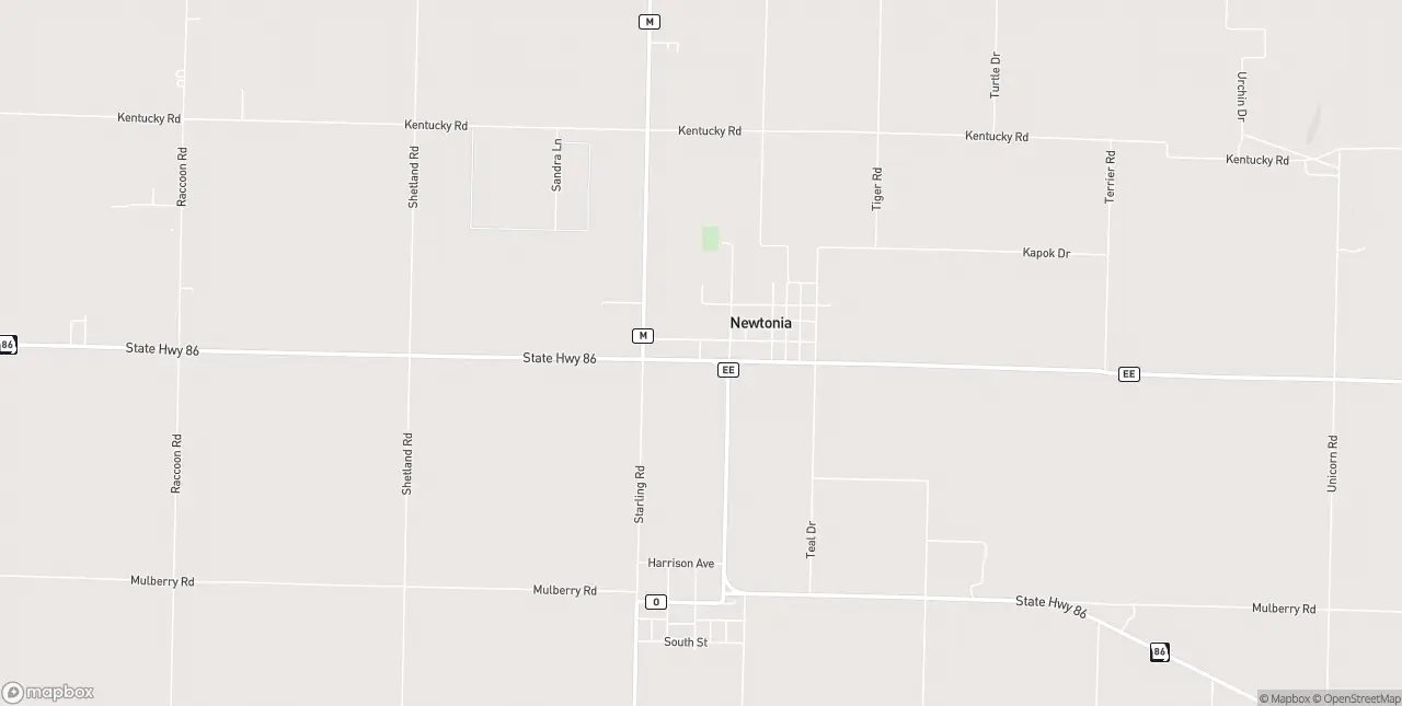 Internet in Newtonia