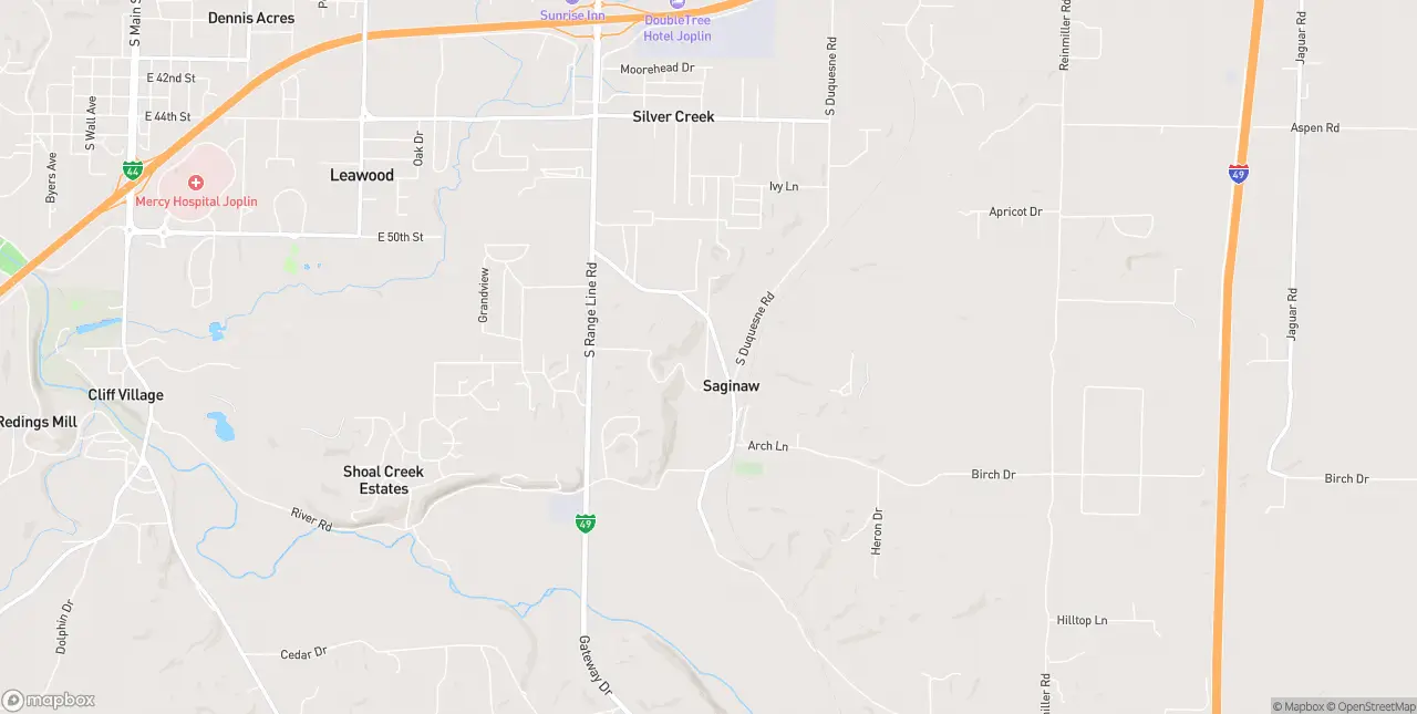 Internet in Saginaw